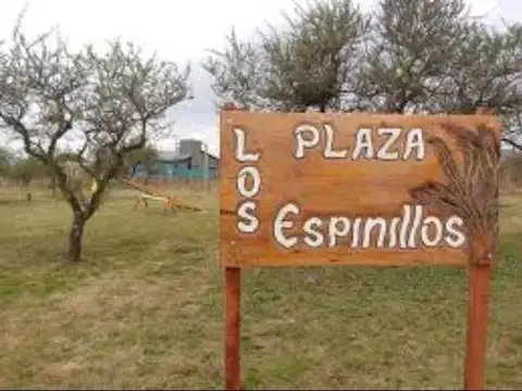 LOS ESPINILLOS, POTRERO DE GARAY