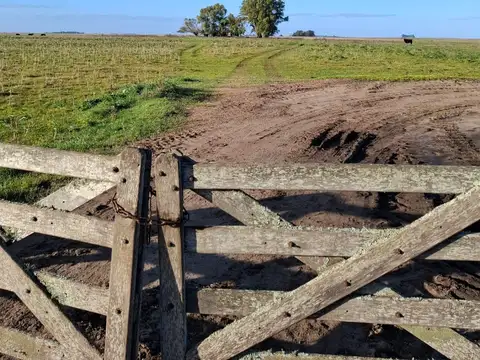 Campo en Venta con Alambrado