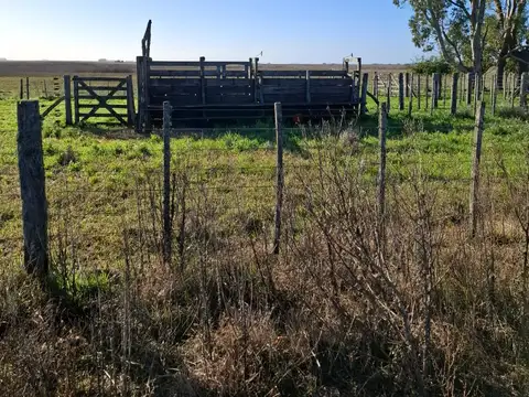 VENTA CAMPO- GENERAL MADARIAGA-KM 20 DE RUTA 74 CAMPO INTERNO-DOBLE PROPOSITO