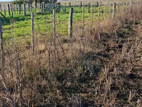 Campo en Venta Mixto