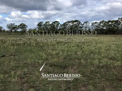 Terreno Campo  en Venta en Alto Los Cardales, Campana, G.B.A. Zona Norte