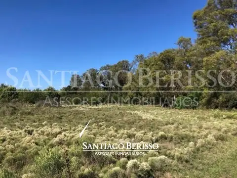 Terreno Campo  en Venta en Alto Los Cardales, Campana, G.B.A. Zona Norte