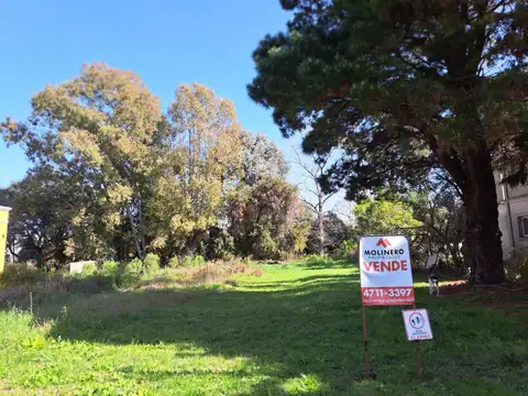 Excelente Lote De 1000 M2 En El Barrio Las Lomadas, Muy Bajas Expensas Y Añosa Arboleda. Barrio Consolidado
