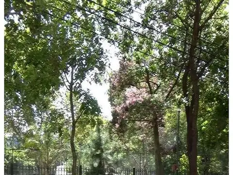 OPORTUNIDAD! GALPÓN/DEPÓSITO, SÓTANO Y COCHERA!
