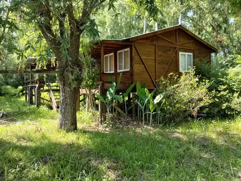 Rio / Arroyo Paraná Miní Atenea 100