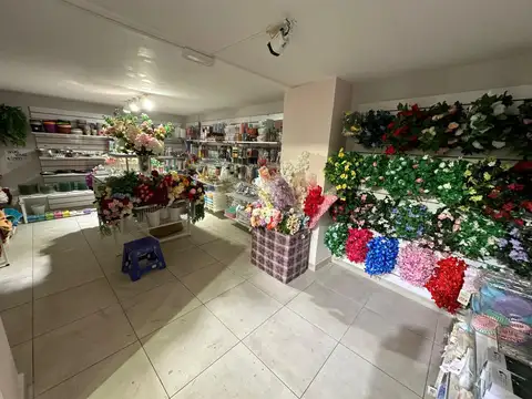 Av. Pueyrredón al 870