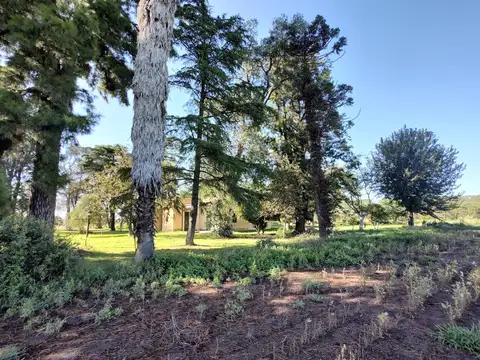 Campo - San Nicolas De Los Arroyos