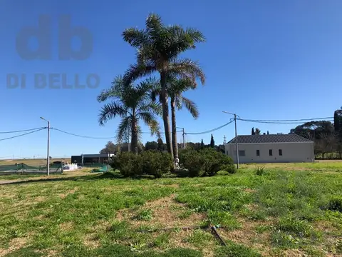 Zarate Golf Park al 100