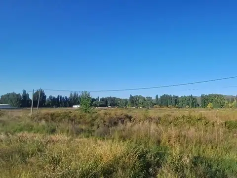 ALQUILER TERRENO 5.000 M2 . ACCESO SUR Y RUTA 7