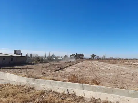 Parcelas para loteo en Valle de Uco , Mendoza (5 ha)