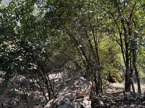 Terreno en Venta de 800,0 m2