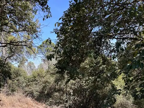 Terreno en Venta de 800,0 m2