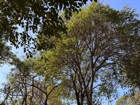 Potrero De Garay