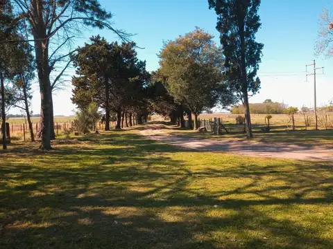 Chacra en venta - 4 Dormitorios 3 Baños - 55.000Mts2 - Saladillo