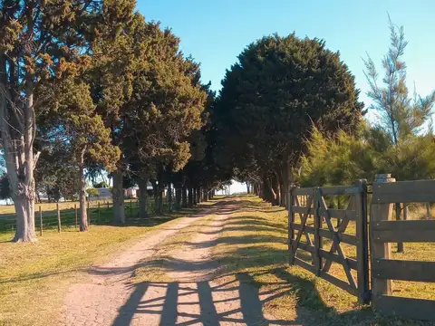 Chacra Las Margaritas