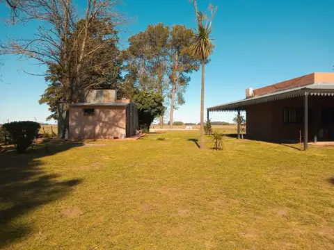 Chacra en venta - 4 Dormitorios 3 Baños - 55.000Mts2 - Saladillo