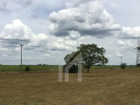 Ruta N° 193 Km. 28, Exaltación de la Cruz 100