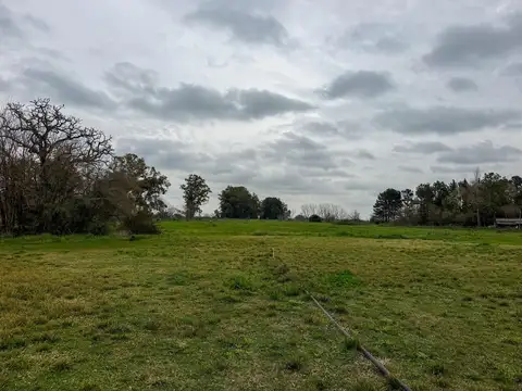 Ruta 193- KM 15,5  Exaltación de La Cruz 100