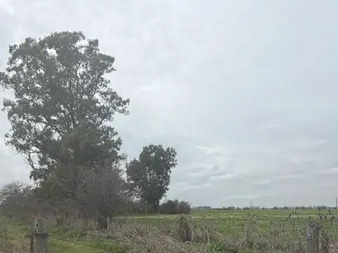 Terreno Campo  en Venta en Chenaut, Exaltación de la Cruz, G.B.A. Zona Norte