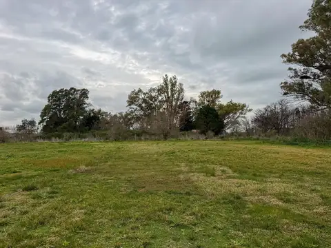Terreno Campo  en Venta en Chenaut, Exaltación de la Cruz, G.B.A. Zona Norte