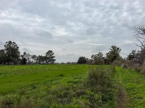 Ruta 193- KM 15,5  Exaltación de La Cruz 100