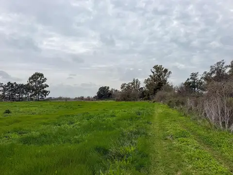Ruta 193- KM 15,5  Exaltación de La Cruz 100
