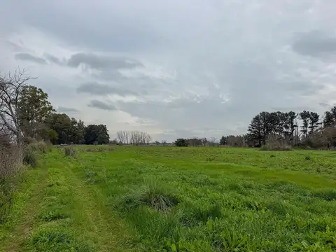 Ruta 193- KM 15,5  Exaltación de La Cruz 100