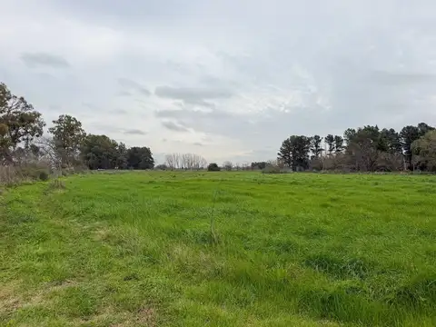 Terreno Campo  en Venta en Chenaut, Exaltación de la Cruz, G.B.A. Zona Norte