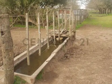 Campo en venta en Chascomús