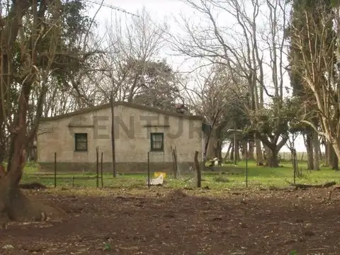 chascomus , Piso -