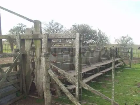 Campo en venta en Chascomús