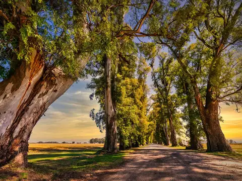 Terreno en Venta de 1000,0 m2