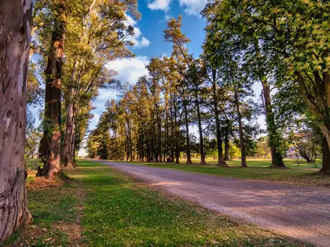 Terreno en Venta en Los Tres Pinos, USD 38.000