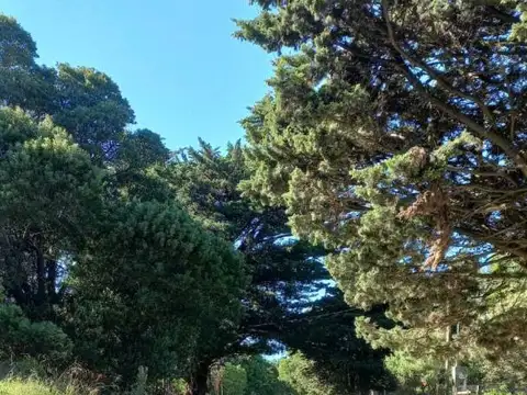 VENTA DE LOTE MIRAMAR CALLE 3 DE FEBRERO