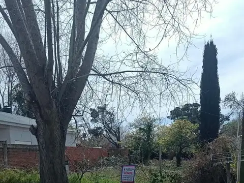 Terreno en Venta en Santa Teresita, USD 20.000