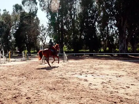 Haras Santa Maria Escobar