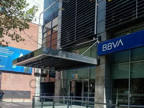 España 1300, Piso 13