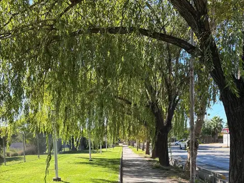 Terrenos en Barrio Bulevares