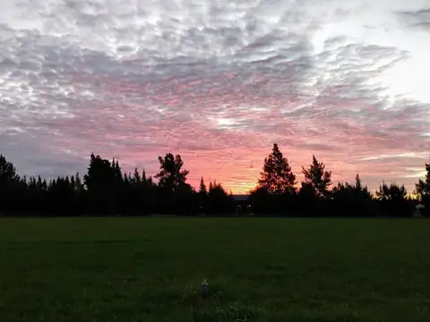 TERRENO  - Lote en venta en brandsen