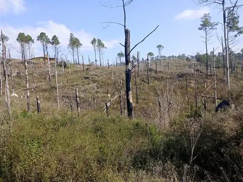 Terreno en Venta en Villa General Belgrano, USD 17.000