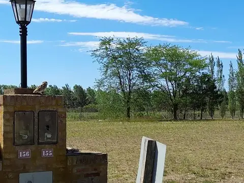 Terreno en Venta 50  mts Fondo