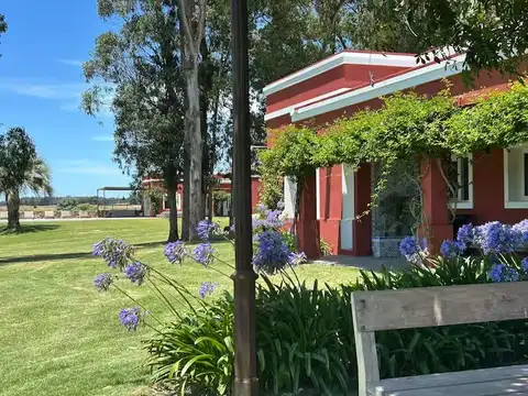 Quinta - ALQUILER_TEMPORAL - Uruguay, LA BARRA