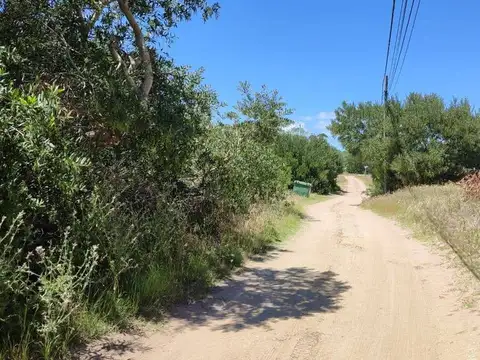 Paseo 100