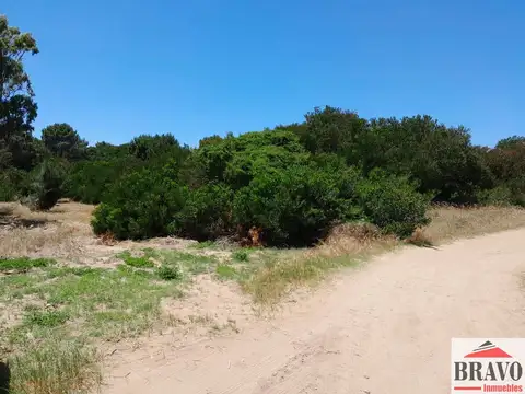 Terreno en Venta 45  mts Fondo