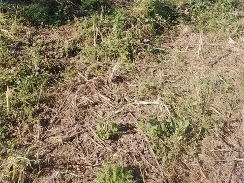 Terreno en Venta 22  mts Frente