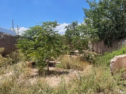 Terreno en Venta en Dorrego, USD 39.000
