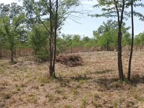 Terreno en Venta en Villa Quillinzo, USD 11.500