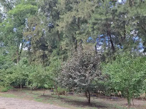 Casa en Venta al Sudoeste