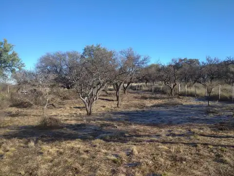 Ruta 1 Km 22