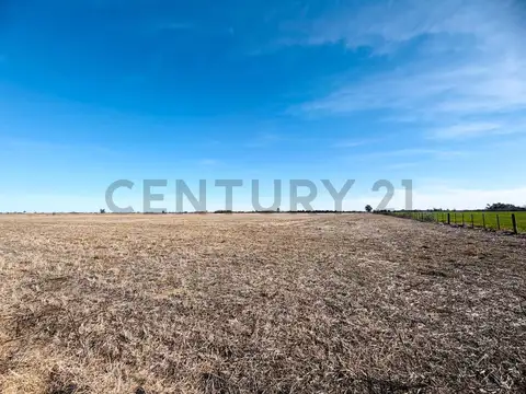 Campo agrícola | 34 hectáreas productivas. Melincué